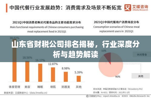 山東省財稅公司排名揭秘，行業(yè)深度分析與趨勢解讀