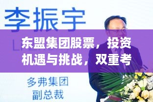 東盟集團股票，投資機遇與挑戰，雙重考量不容錯過(guò)