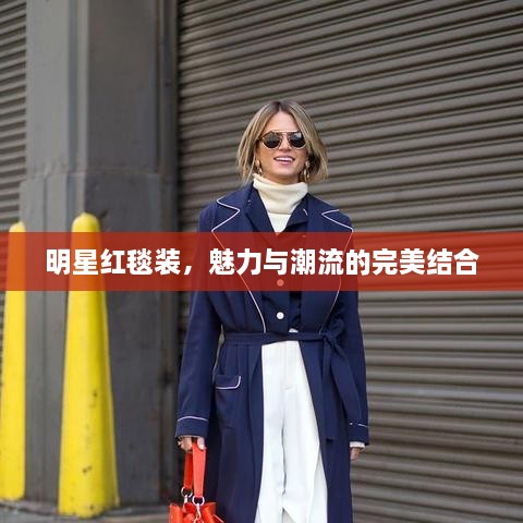明星紅毯裝，魅力與潮流的完美結合