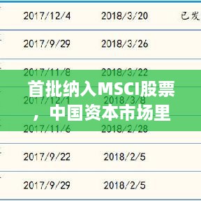首批納入MSCI股票，中國資本市場(chǎng)里程碑事件揭曉！