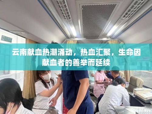 云南獻血熱潮涌動(dòng)，熱血匯聚，生命因獻血者的善舉而延續