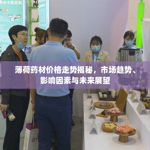 薄荷藥材價(jià)格走勢揭秘，市場(chǎng)趨勢、影響因素與未來(lái)展望