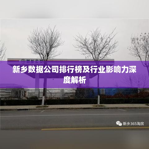 新鄉數據公司排行榜及行業(yè)影響力深度解析