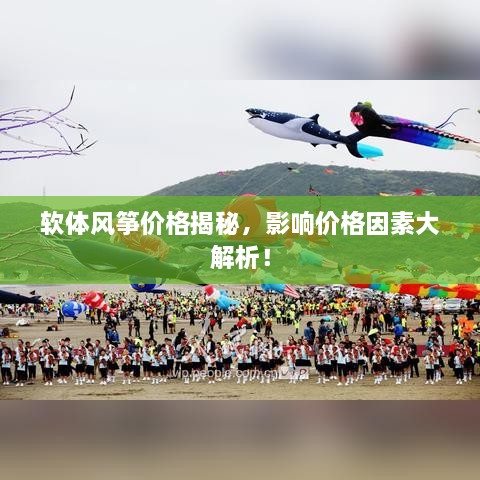 軟體風(fēng)箏價(jià)格揭秘，影響價(jià)格因素大解析！