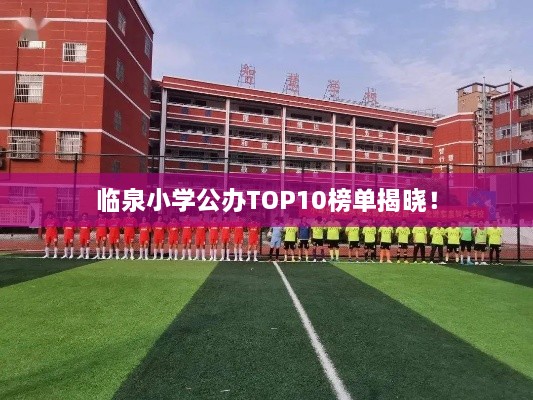臨泉小學(xué)公辦TOP10榜單揭曉！