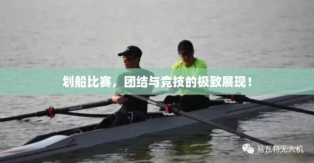 劃船比賽，團結與競技的極致展現！