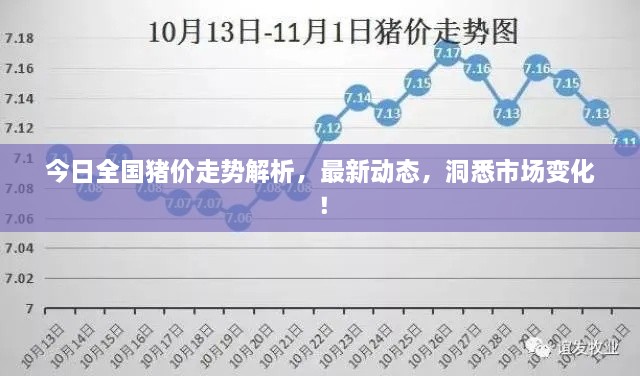 今日全國豬價(jià)走勢解析，最新動(dòng)態(tài)，洞悉市場(chǎng)變化！
