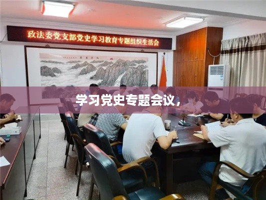 學(xué)習黨史專(zhuān)題會(huì )議， 