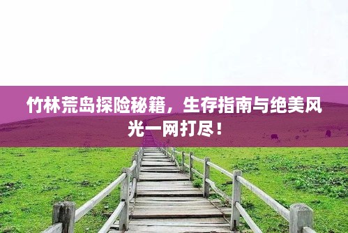 竹林荒島探險秘籍，生存指南與絕美風(fēng)光一網(wǎng)打盡！