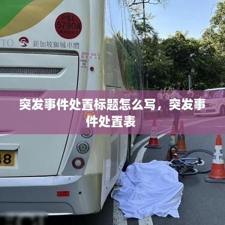 突發(fā)事件處置標題怎么寫(xiě)，突發(fā)事件處置表 