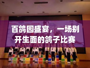 百鴿園盛宴，一場(chǎng)別開(kāi)生面的鴿子比賽盛宴！
