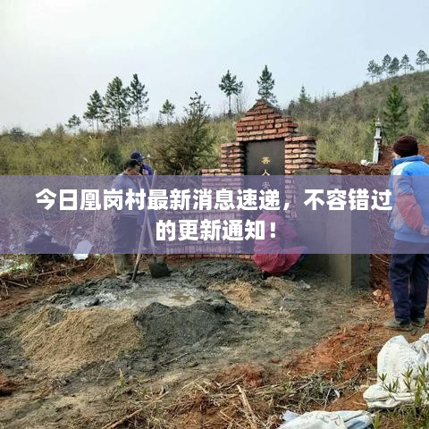 今日凰崗村最新消息速遞，不容錯過(guò)的更新通知！
