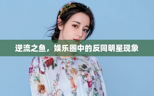 逆流之魚(yú)，娛樂(lè )圈中的反同明星現象