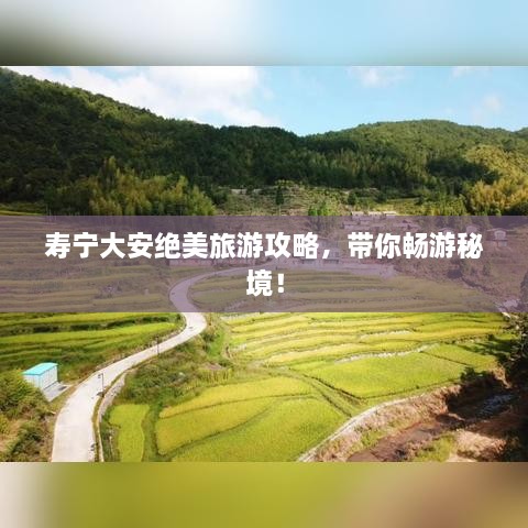 壽寧大安絕美旅游攻略，帶你暢游秘境！