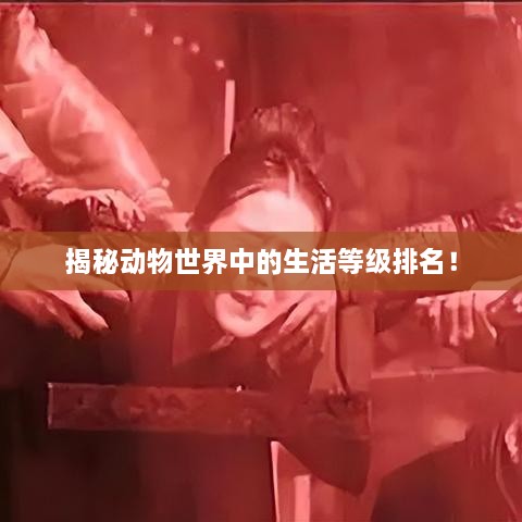 揭秘動(dòng)物世界中的生活等級排名！