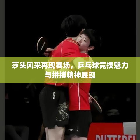 莎頭風(fēng)采再現賽場(chǎng)，乒乓球競技魅力與拼搏精神展現