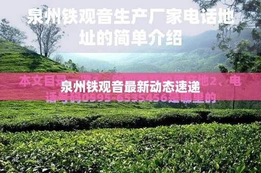 泉州鐵觀(guān)音最新動(dòng)態(tài)速遞