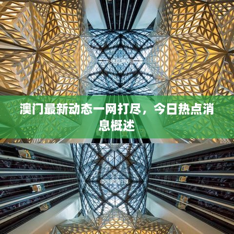 澳門(mén)最新動(dòng)態(tài)一網(wǎng)打盡，今日熱點(diǎn)消息概述