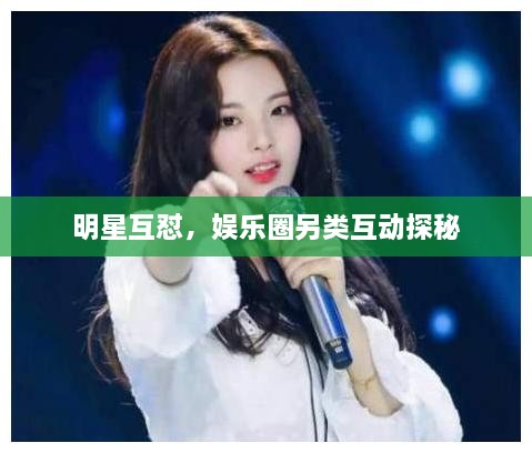 明星互懟，娛樂(lè )圈另類(lèi)互動(dòng)探秘