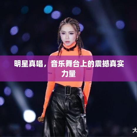 明星真唱，音樂(lè )舞臺上的震撼真實(shí)力量