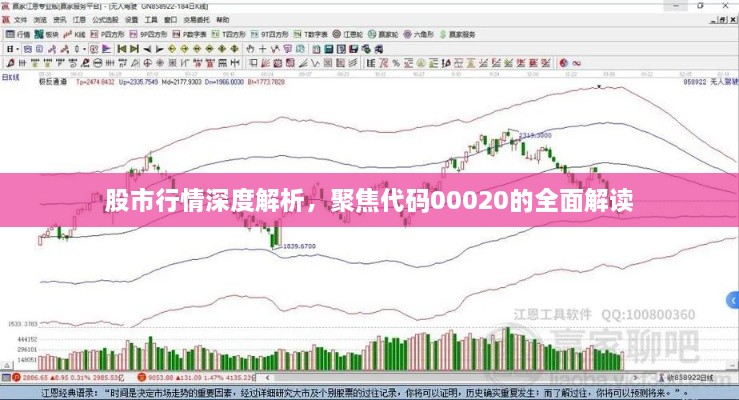 股市行情深度解析，聚焦代碼00020的全面解讀
