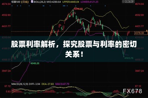 股票利率解析，探究股票與利率的密切關(guān)系！