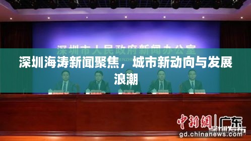 深圳海濤新聞聚焦，城市新動(dòng)向與發(fā)展浪潮