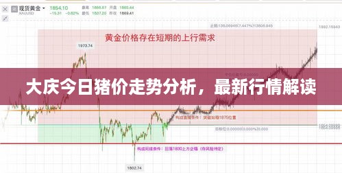 大慶今日豬價(jià)走勢分析，最新行情解讀