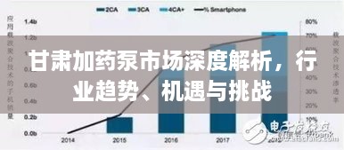 甘肅加藥泵市場(chǎng)深度解析，行業(yè)趨勢、機遇與挑戰