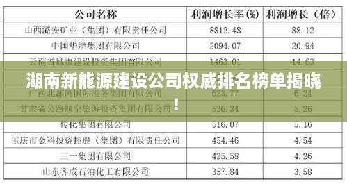 湖南新能源建設公司權威排名榜單揭曉！