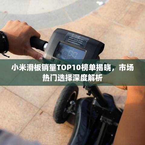 不求甚解