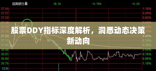 股票DDY指標深度解析，洞悉動(dòng)態(tài)決策新動(dòng)向