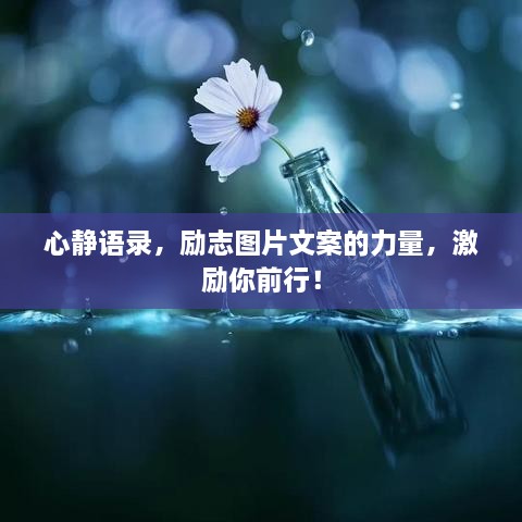 心靜語(yǔ)錄，勵志圖片文案的力量，激勵你前行！