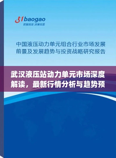 武漢液壓站動(dòng)力單元市場(chǎng)深度解讀，最新行情分析與趨勢預測