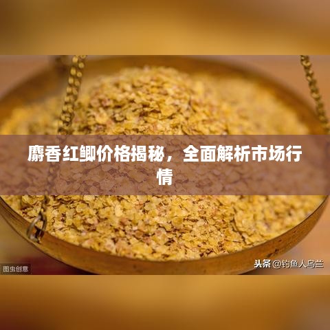 麝香紅鯽價(jià)格揭秘，全面解析市場(chǎng)行情