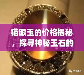 后會(huì )無(wú)期