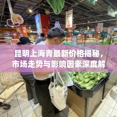 昆明上海青最新價(jià)格揭秘，市場(chǎng)走勢與影響因素深度解析