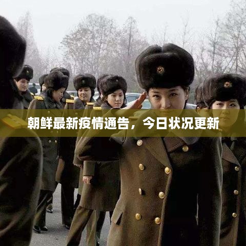 朝鮮最新疫情通告，今日狀況更新