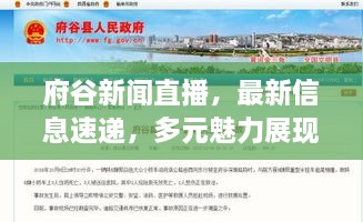 府谷新聞直播，最新信息速遞，多元魅力展現