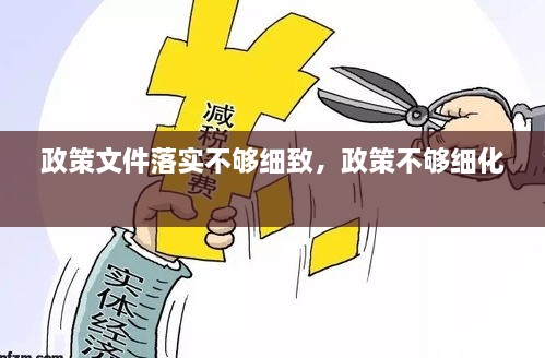 政策文件落實(shí)不夠細致，政策不夠細化 