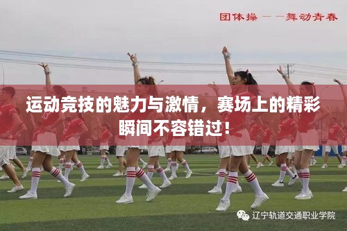 運動(dòng)競技的魅力與激情，賽場(chǎng)上的精彩瞬間不容錯過(guò)！