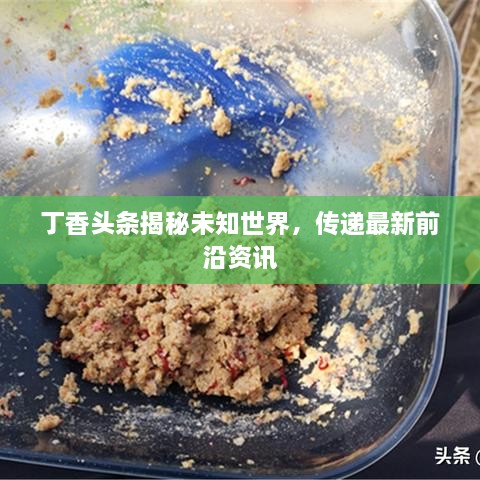 丁香頭條揭秘未知世界，傳遞最新前沿資訊