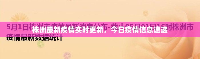 株洲最新疫情實(shí)時(shí)更新，今日疫情信息速遞