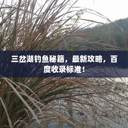 三岔湖釣魚(yú)秘籍，最新攻略，百度收錄標準！