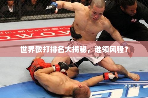 世界散打排名大揭秘，誰(shuí)領(lǐng)風(fēng)騷？