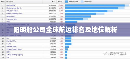 陽(yáng)明船公司全球航運排名及地位解析