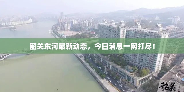 韶關(guān)東河最新動(dòng)態(tài)，今日消息一網(wǎng)打盡！