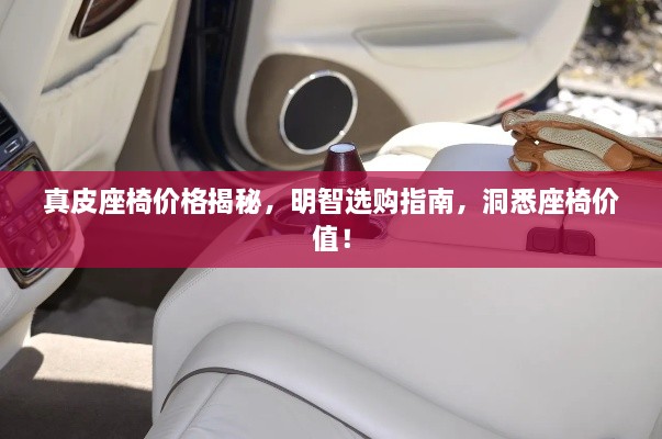 真皮座椅價(jià)格揭秘，明智選購指南，洞悉座椅價(jià)值！