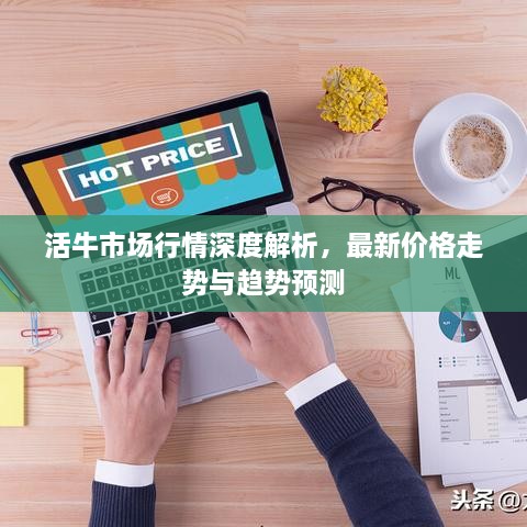 活牛市場(chǎng)行情深度解析，最新價(jià)格走勢與趨勢預測