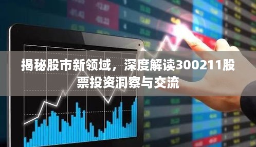 揭秘股市新領(lǐng)域，深度解讀300211股票投資洞察與交流